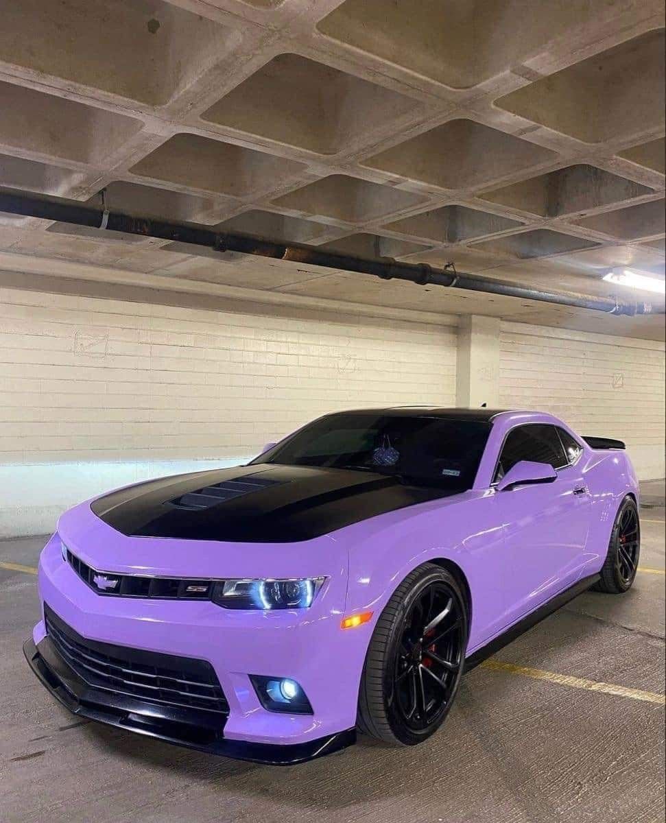TPU Glossy Lavender Purple Paint Protection Film