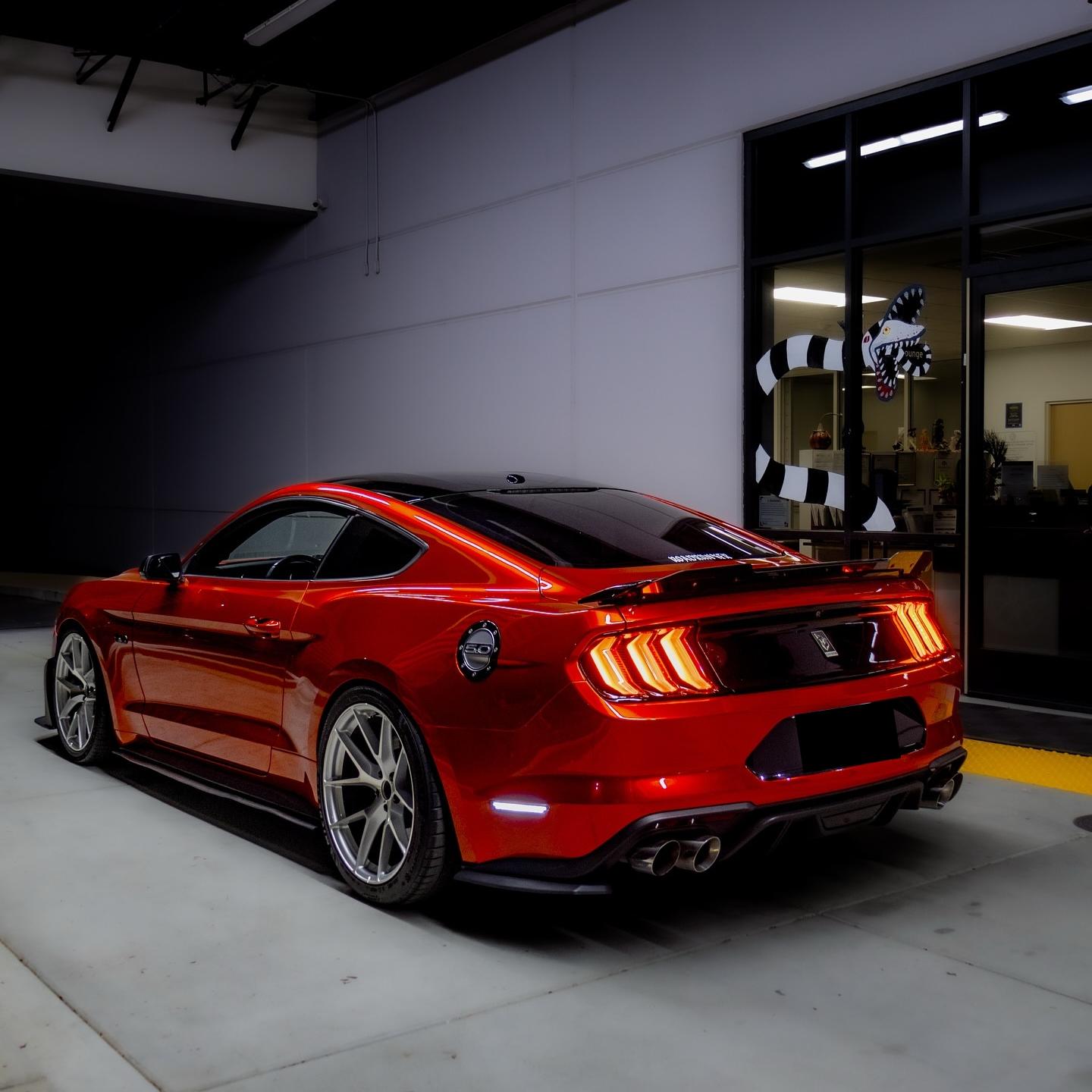 vampire red wrap