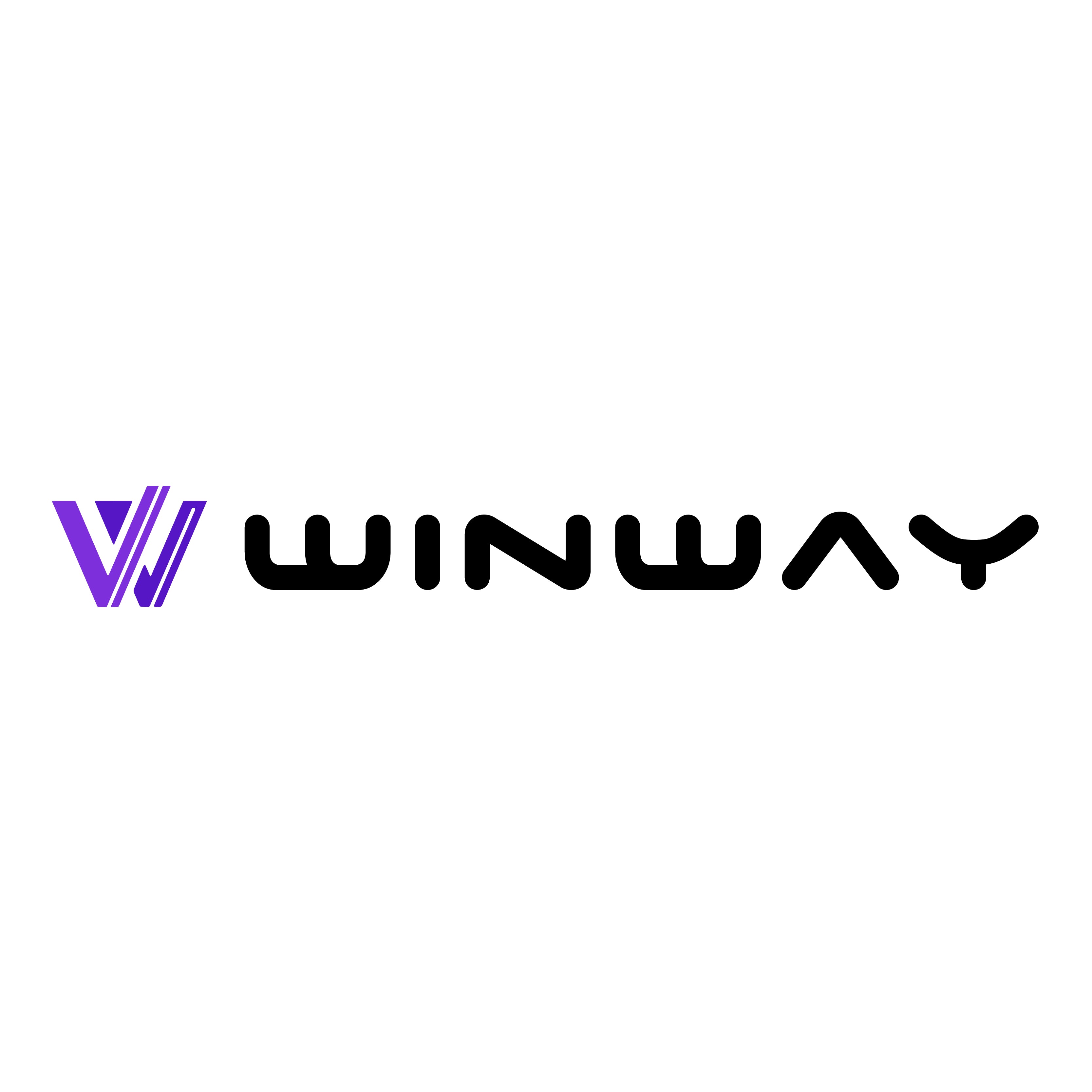 WINWAYWRAP: Redefining Car Customization with Quality and Style
