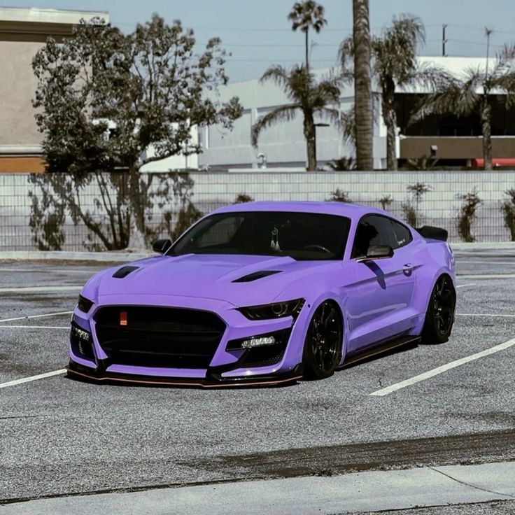 TPU Glossy Lavender Purple Paint Protection Film